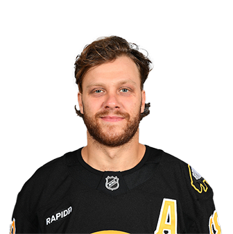 Photo of David Pastrnak